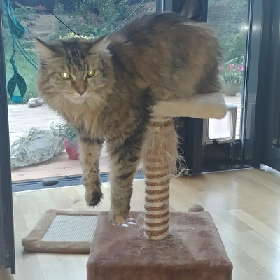 BlazenaPolaharova picture