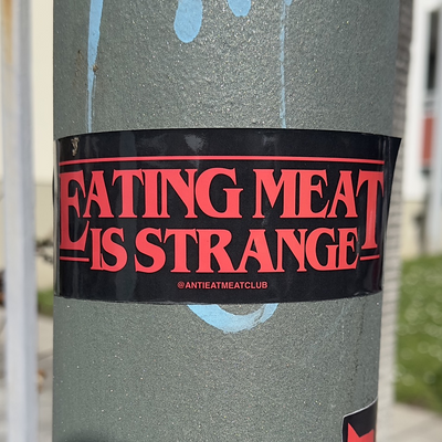 unknowncat161-269 picture