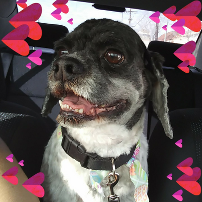 GabyResendez picture