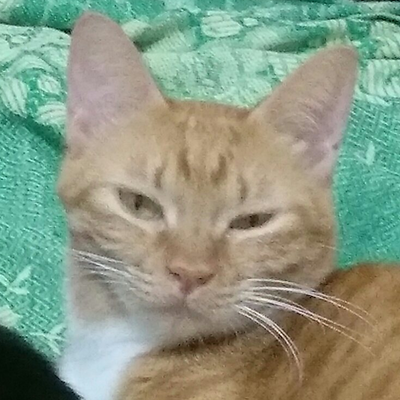施素珊 picture