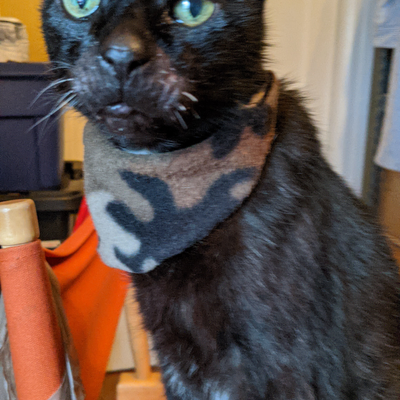 pretzelninja picture