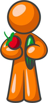 Vegetarian Lifestyle picture