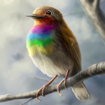 rainbowrobin picture