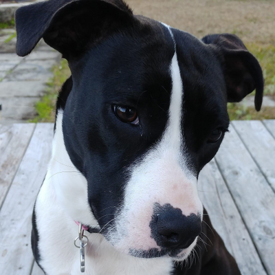 ElizabethJackson picture