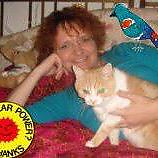 MoniSchneider picture