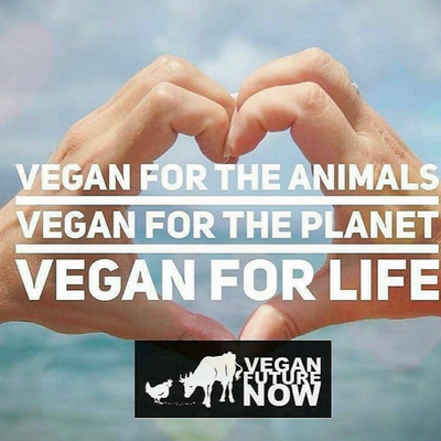 PlantySoulshine picture