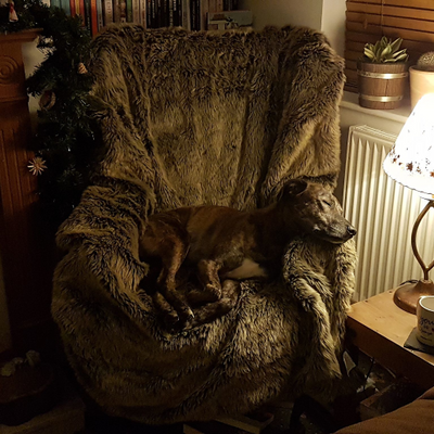 AdamLitchfield picture