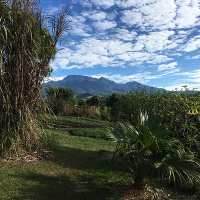 VistaParaiso picture