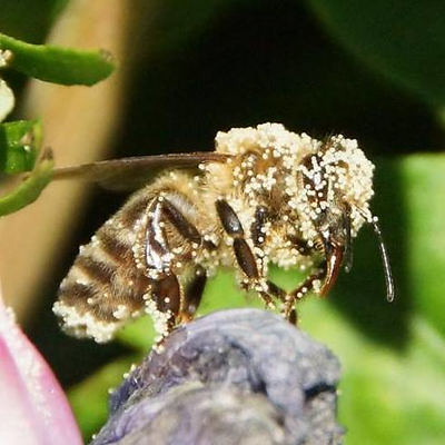 RolandStabbauer picture