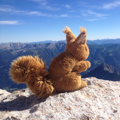 EllisTarCeansa picture