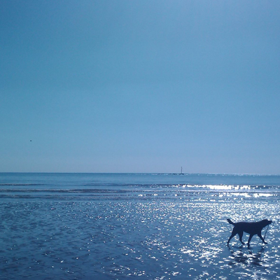 JaneFriggens picture