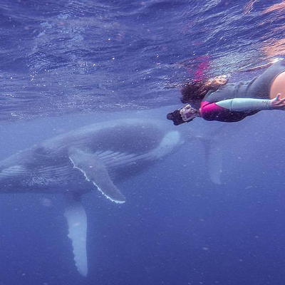 TheSaltSirens picture