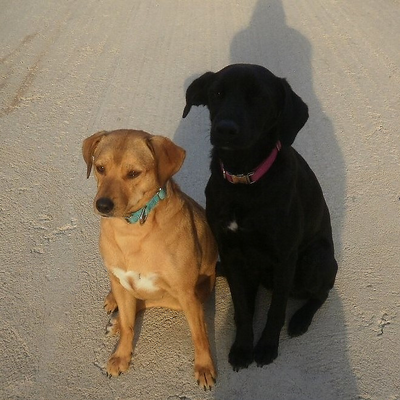 KiripolszkyKrisztiá picture