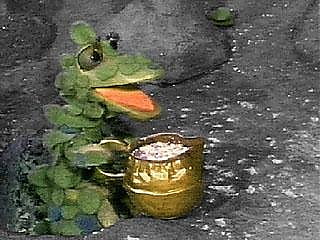 soup_dragon picture