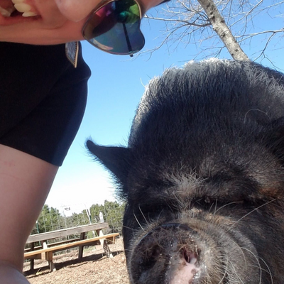 CaraNongrata picture