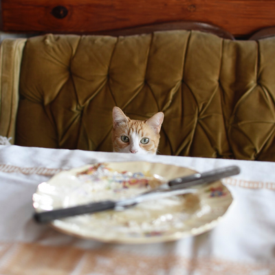 LucianaChristiansen picture