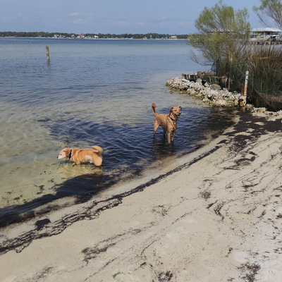 angelac.kcks picture