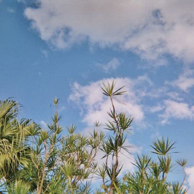 sandrinechene picture