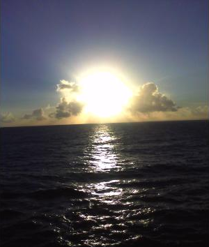 crewumiami picture