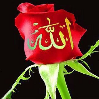 MuslimahToMuslimah picture