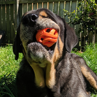 Momma_Jellybean picture