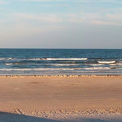 MicheleHooper picture