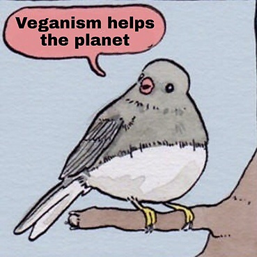 veganaf4ever picture