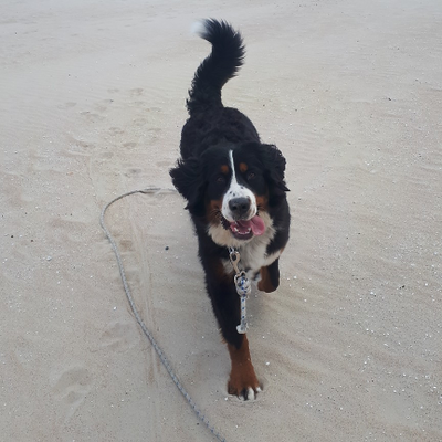 LilianaBuczyńska picture