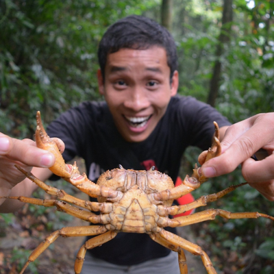 NguyenNhuHuynh picture