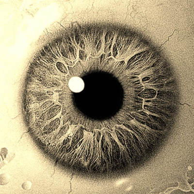 wandelendetak picture