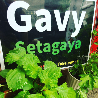 GavySetagaya picture