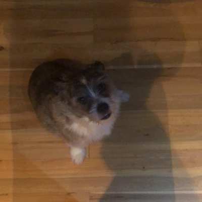 SaurabhChandGupta picture