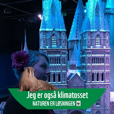 SophiaAmalieMøller picture