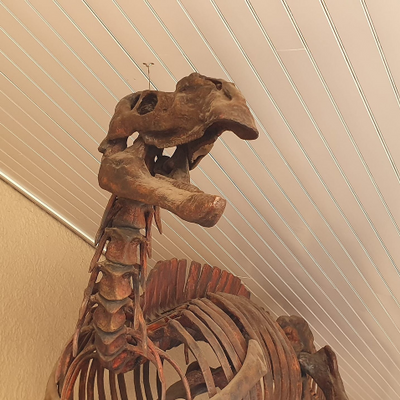 Ellie-MayeHarkess picture