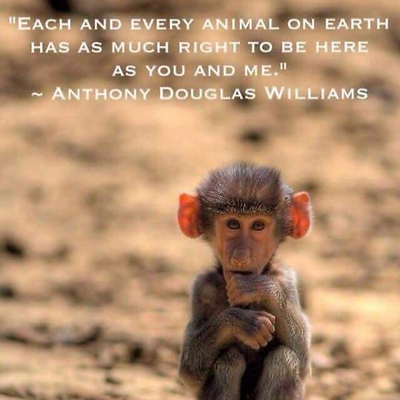 BarbaraKeeble picture