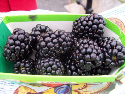 zombiecrashtest picture