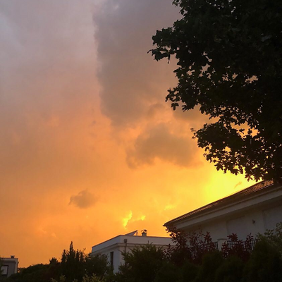 EmilyDaniels picture