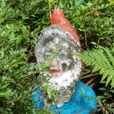 AnimalsAreHumansToo picture