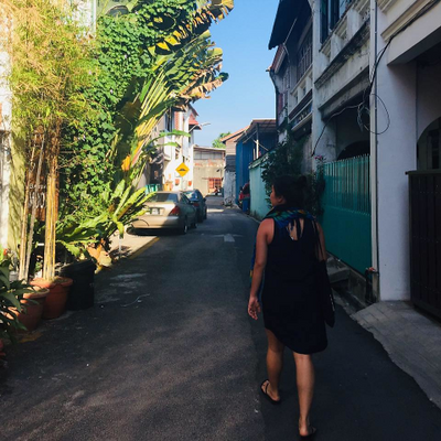 Planteater411 picture