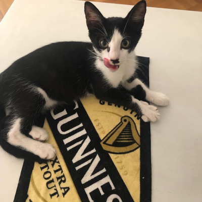 FloMieltoffeepraline picture