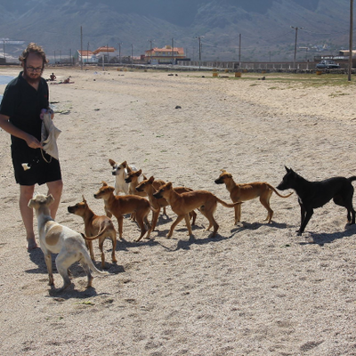 ShaiShlomoEistein picture