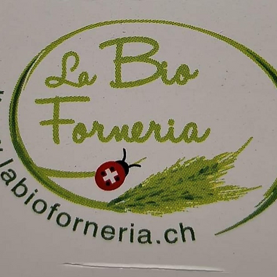 LabioForneria picture