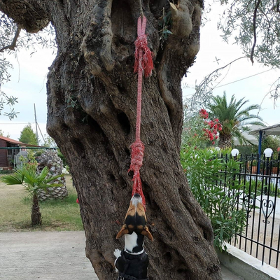 ΕυγενίαΣγουρίδουι picture