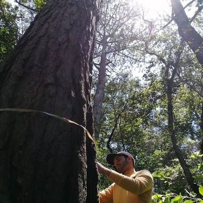 MarioMiguelJimenez picture