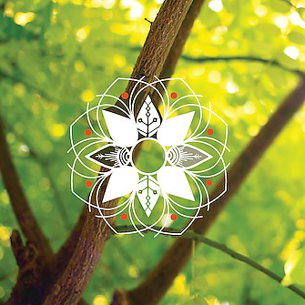 DelphineBOURDIN picture