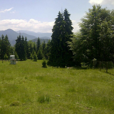 CiprianPescaru picture