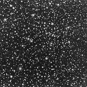 AnaBergamaschi picture