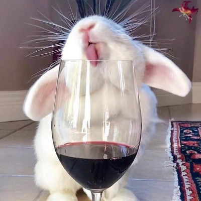 Bebetheblackrabbit picture