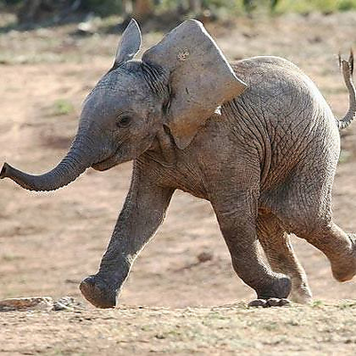 SebastianRiese picture