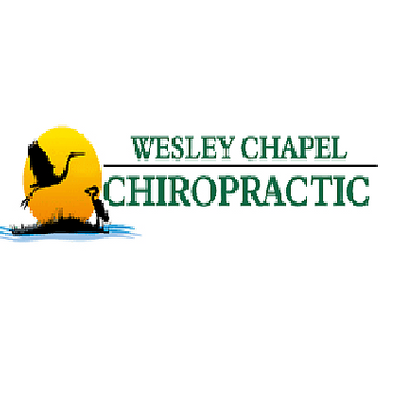 WesleyChapelChiro picture